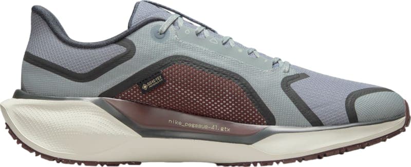 Pánské běžecké boty Nike PEGASUS 41 GORE-TEX